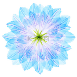 蓝色花瓣图片_花的圆形图案的蓝色花瓣
