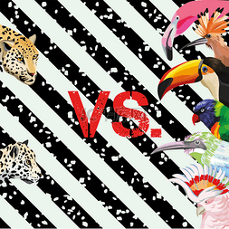 打印模式豹 vs 热带鸟类壁纸