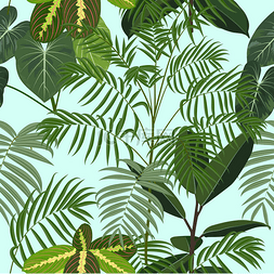 树叶背景棕榈叶图片_热带丛林棕榈叶无缝模式，病媒背