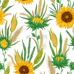 水彩背景与向日葵图片_与谷物和向日葵的无缝模式。大麦