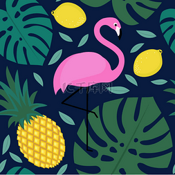 深蓝色服装图片_热带棕榈叶图案的珍奇的鸟和水果