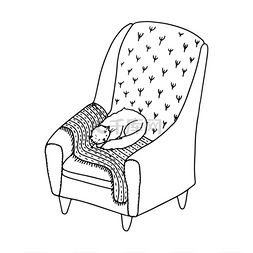 绒毛猫躺在舒适的椅子上用毛毯.