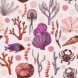 手绘珊瑚图片_与海洋手绘珊瑚和生物无缝的模式