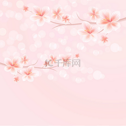 背景cmyk图片_樱花盛开。樱花与花的枝。樱花树