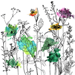 草药矢量图片_用绘图的香草和花朵背景