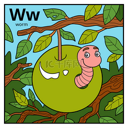 彩色字母w图片_彩色字母儿童，字母 W (worm)