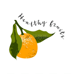 品牌标记图片_多汁的甘菊，橘子，橙子，香菜。
