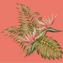 热带花鸟的天堂 (条纹) 和棕榈叶