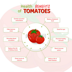 西红柿对健康的好处。番茄营养物