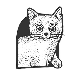 猫在猫屋草图上刻有矢量图解.T恤