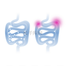 健康肠道图片_抽象肚腑例证以浅蓝色