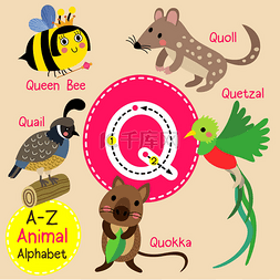 儿童英语图图片_可爱的儿童动物园字母 Q 信追踪的