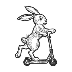 兔子骑在滑板车草图雕刻矢量插图