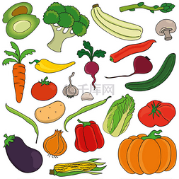 vegetables图片_Set of vegetables