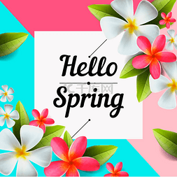 season图片_Hello spring text banner, greetings design wi