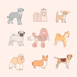 各种狗品种。手绘风格矢量设计图
