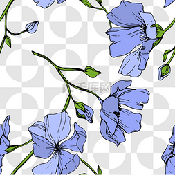 植物亚麻图片_向量蓝色亚麻花植物花。野生春叶