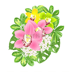 婚礼欧式花束图片_花束与热带花卉花卉安排美丽的兰