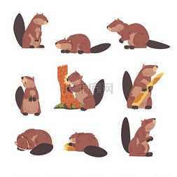 下跪漫画图片_可爱的褐色海狸集，不同方位的野