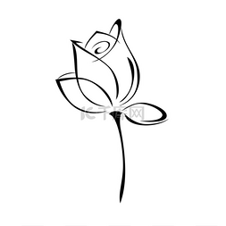 花茎图片_一种花蕾，花茎短，黑线，白色背