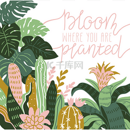 字母和植物图片_手绘野生热带房子植物.
