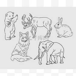 野生动物插画绘图风格