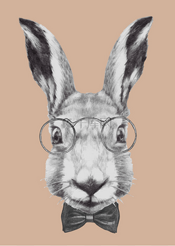戴着眼镜，领结的兔子