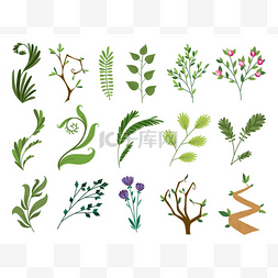 热带绿色风格图片_矢量设计师元素集绿色森林蕨类植