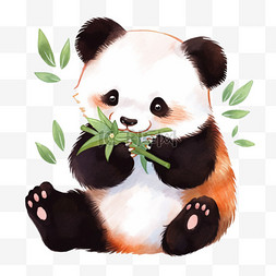 水彩画元素熊猫竹子手绘