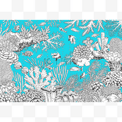 海洋生物手绘素描图片_水下景观单色珊瑚和鱼类