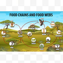 交互说明图片_生物教育海报促进食物链图说明