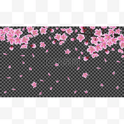 border图片_Sakura tree branch with falling petals on dar