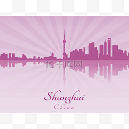 上海紫辐射兰花的天际线