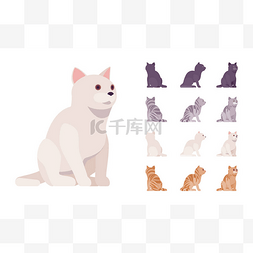 宠物小猫图片_白色、黑色、橙色、灰色条纹家猫