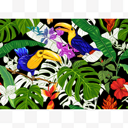 热带植物、花卉和鸟类. 