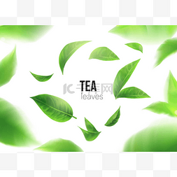 茶叶设计包装图片_绿茶。茶叶在空中旋转。元素用于