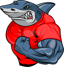 肌肉鲨鱼卡通的矢量插图