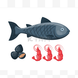 图稿设计图片_矢量图的图稿银鳕鱼.