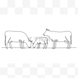 母牛和小牛的连续的线图画