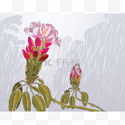 雨中的花朵图片_阿扎利亚
