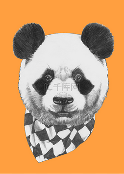 熊猫与围巾的肖像