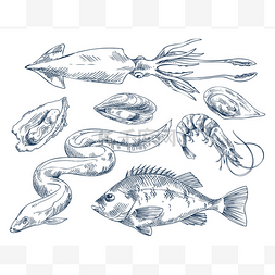 海鲜鳗鱼图片_海报用海鲜矢量单色插图