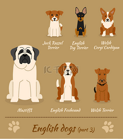斯科加瀑布图片_English breed of dogs