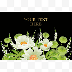 花卉卡片豪华图案精致柔和的白色