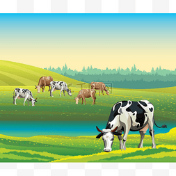 白summer图片_Summer landscape with cows and meadow.