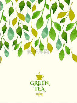 茶叶设计包装图片_水彩背景的绿色的树叶