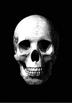 旧的单色雕刻上黑暗 Bg 的头骨插图