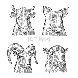 农场动物图标集。猪、牛、羊、山