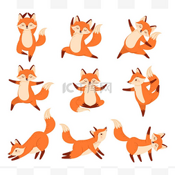 瑜伽练习图片_在瑜伽中的卡通狐狸摆姿势。 健