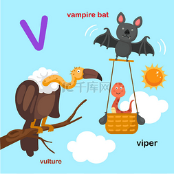 插图孤立的字母字母 v 型吸血鬼蝙